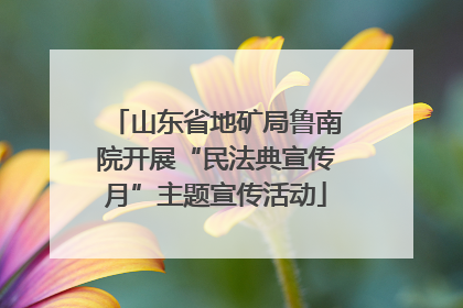 山东省地矿局鲁南院开展“民法典宣传月”主题宣传活动