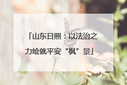 山东日照：以法治之力绘就平安“枫”景