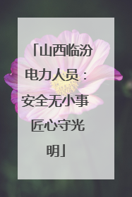 山西临汾电力人员：安全无小事 匠心守光明