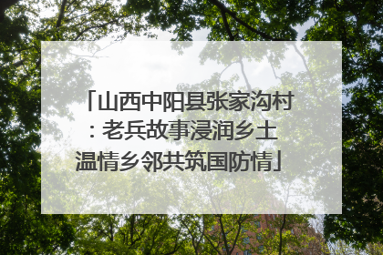 山西中阳县张家沟村：老兵故事浸润乡土 温情乡邻共筑国防情
