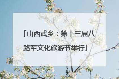 山西武乡：第十三届八路军文化旅游节举行
