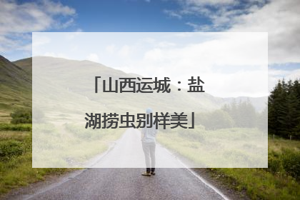 山西运城：盐湖捞虫别样美