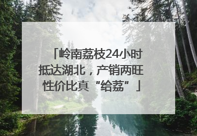岭南荔枝24小时抵达湖北，产销两旺性价比真“给荔”