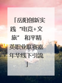 岳阳创新实践“电竞+文旅” 和平精英职业联赛嘉年华线下引流