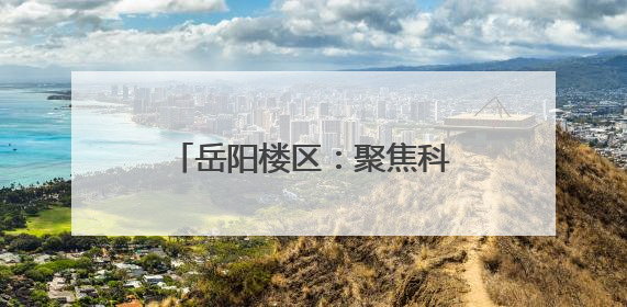 岳阳楼区：聚焦科技转化、创新民生服务、拓展国际赛道