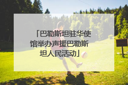 巴勒斯坦驻华使馆举办声援巴勒斯坦人民活动