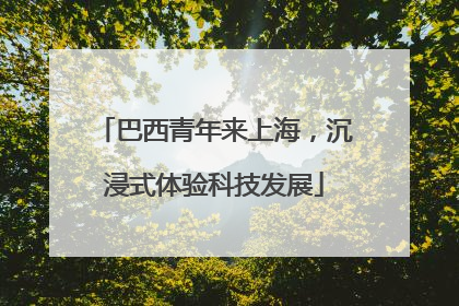 巴西青年来上海，沉浸式体验科技发展
