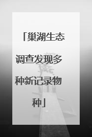 巢湖生态调查发现多种新记录物种