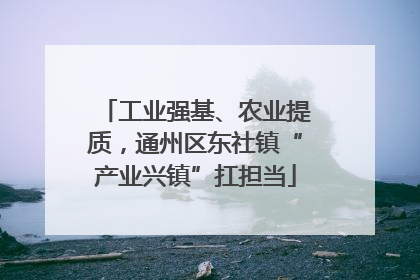 工业强基、农业提质，通州区东社镇“产业兴镇”扛担当