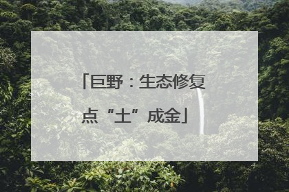 巨野：生态修复点“土”成金