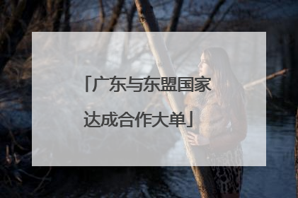 广东与东盟国家达成合作大单