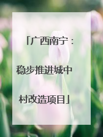广西南宁：稳步推进城中村改造项目