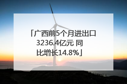广西前5个月进出口3236.4亿元 同比增长14.8%
