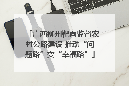 广西柳州靶向监督农村公路建设 推动“问题路”变“幸福路”