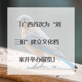 广西首次为“刘三姐”建立文化档案并举办展览