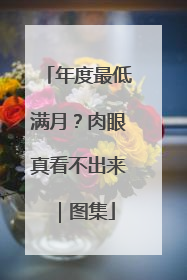 年度最低满月？肉眼真看不出来｜图集