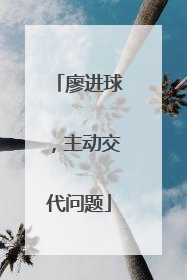 廖进球，主动交代问题