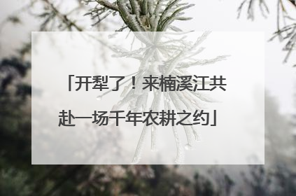 开犁了！来楠溪江共赴一场千年农耕之约