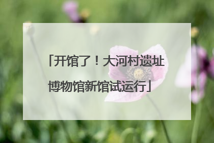 开馆了！大河村遗址博物馆新馆试运行