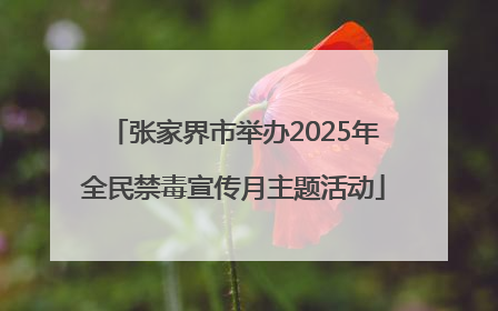 张家界市举办2025年全民禁毒宣传月主题活动
