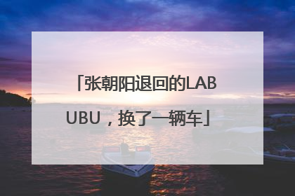 张朝阳退回的LABUBU，换了一辆车