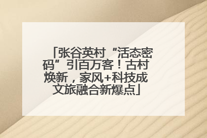 张谷英村“活态密码”引百万客！古村焕新，家风+科技成文旅融合新爆点