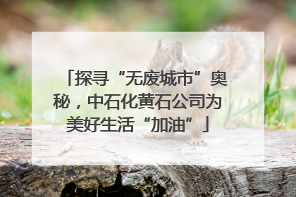 探寻“无废城市”奥秘，中石化黄石公司为美好生活“加油”