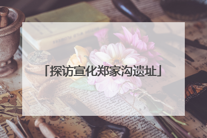 探访宣化郑家沟遗址