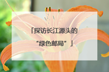 探访长江源头的“绿色邮局”