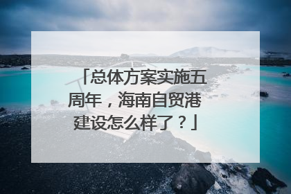 总体方案实施五周年，海南自贸港建设怎么样了？
