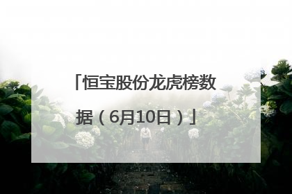 恒宝股份龙虎榜数据（6月10日）