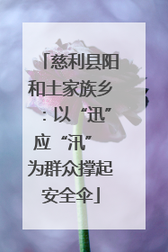 慈利县阳和土家族乡：以“迅”应“汛” 为群众撑起安全伞