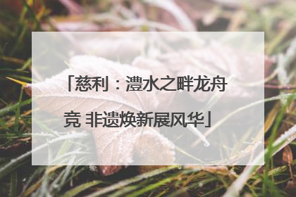 慈利：澧水之畔龙舟竞 非遗焕新展风华