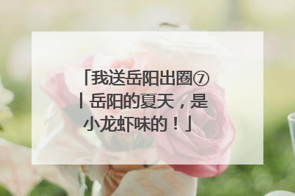 我送岳阳出圈⑦丨岳阳的夏天，是小龙虾味的！