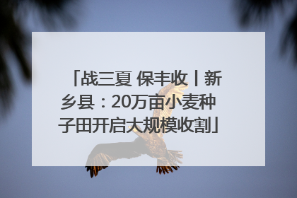 战三夏 保丰收丨新乡县：20万亩小麦种子田开启大规模收割