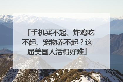 手机买不起、炸鸡吃不起、宠物养不起？这届美国人活得好难