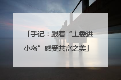 手记：跟着“主委进小岛”感受共富之美