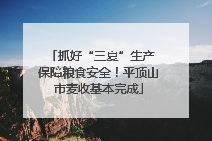 抓好“三夏”生产 保障粮食安全！平顶山市麦收基本完成