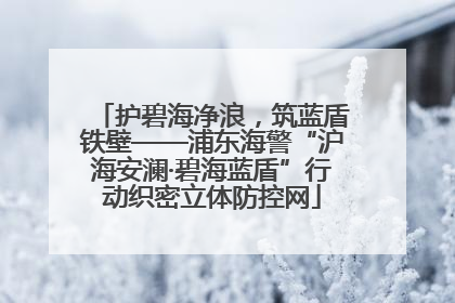护碧海净浪，筑蓝盾铁壁——浦东海警“沪海安澜·碧海蓝盾”行动织密立体防控网