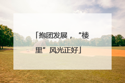 抱团发展，“楼里”风光正好