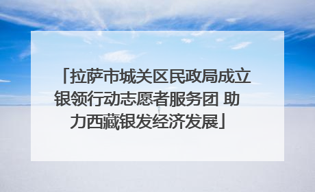 拉萨市城关区民政局成立银领行动志愿者服务团 助力西藏银发经济发展