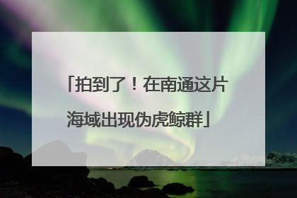 拍到了！在南通这片海域出现伪虎鲸群