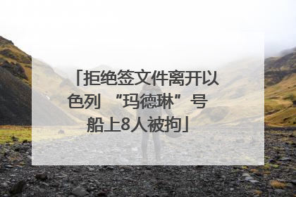 拒绝签文件离开以色列 “玛德琳”号船上8人被拘