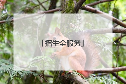 招生全服务