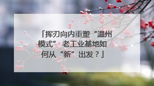 挥刃向内重塑“温州模式” 老工业基地如何从“新”出发？