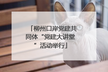 柳州口岸党建共同体“党建大讲堂”活动举行