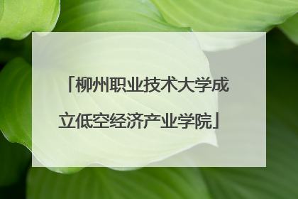 柳州职业技术大学成立低空经济产业学院