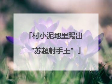 村小泥地里踢出“苏超射手王”