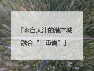 来自天津的港产城融合“三重奏”