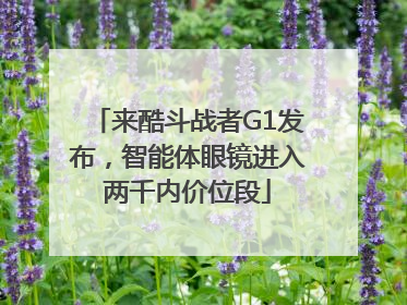 来酷斗战者G1发布，智能体眼镜进入两千内价位段